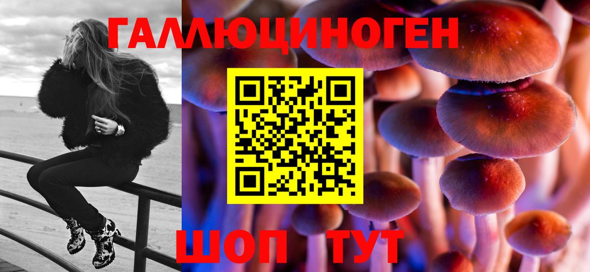 Ростов Великий  Псилоцибиновые грибы GOLDEN TEACHER  где продают наркотики  Вход с VPN 